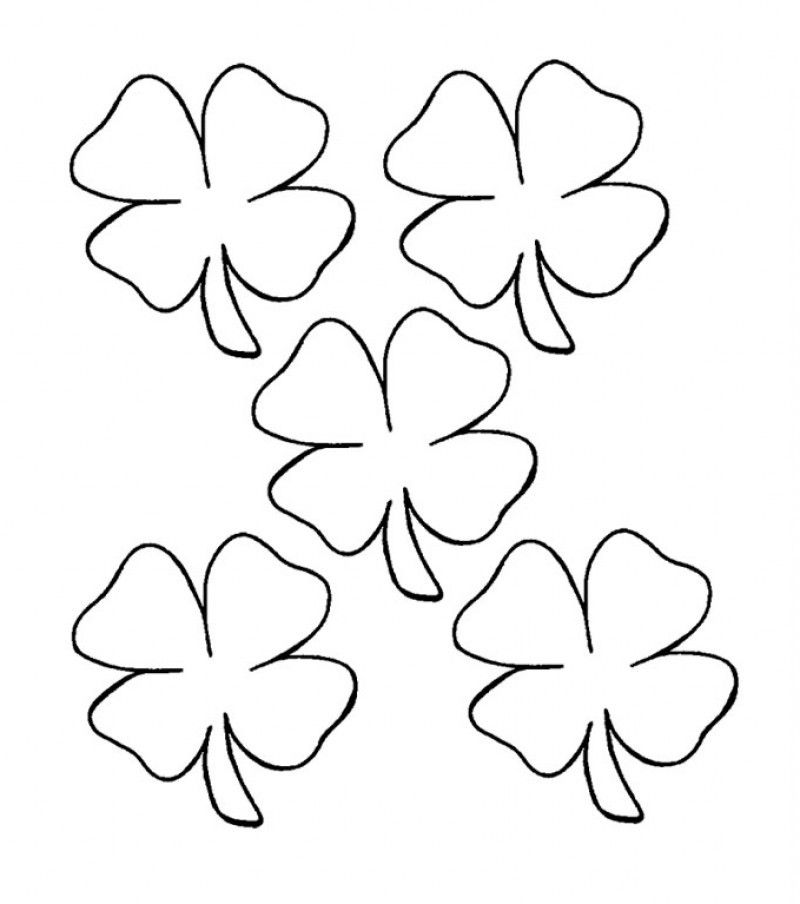Four Leaf Clover Is Small And Beautiful Coloring Pages - Kids