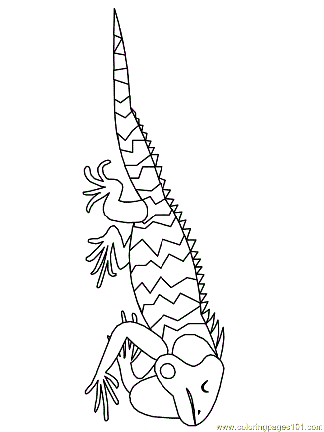 Coloring Pages Mexican Coloring Iguana3 (Countries > Mexico