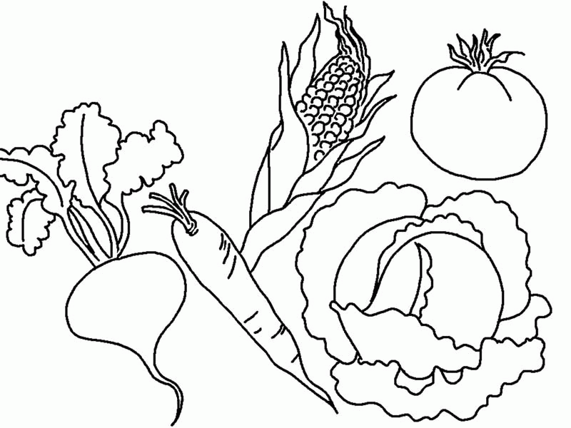 Various Types of Vegetables Coloring Page: Various Types of