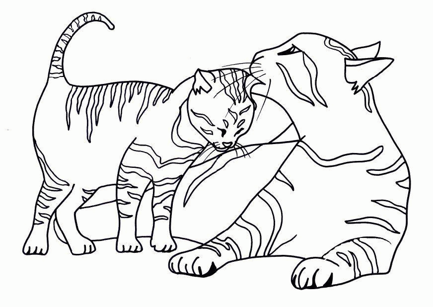 Animal Coloring English Espanol Kitten Cute : coloring pages cute