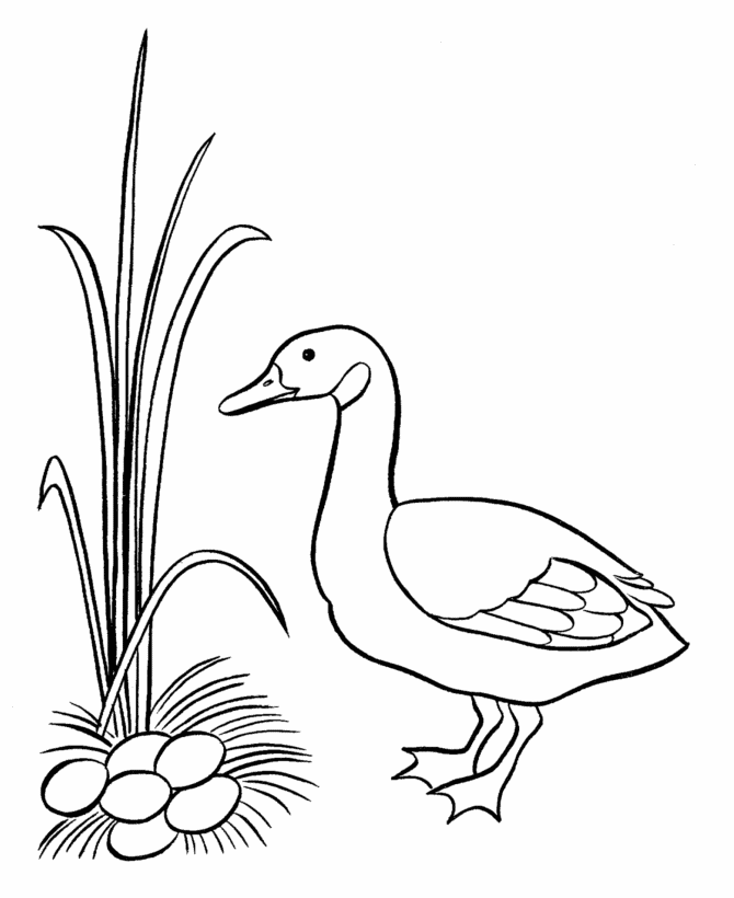 BlueBonkers: Free Printable Easter Ducks Coloring Page Sheets - 13
