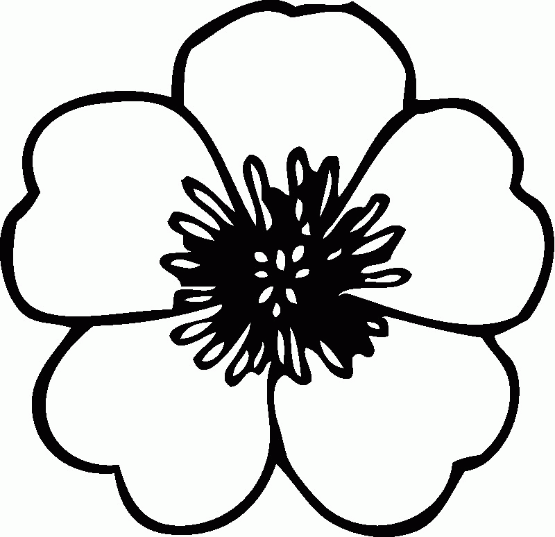 Flower Coloring Pages | HelloColoring.com | Coloring Pages