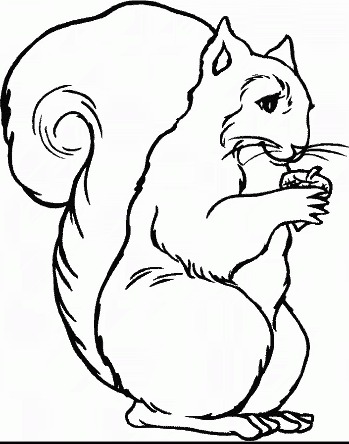 Coloring Book Pages Of Animals - Free Printable Coloring Pages