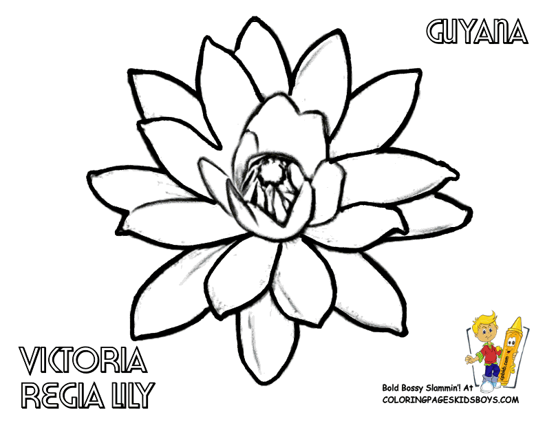 Flower Coloring Pages For Kids Printable | Printable Coloring Pages
