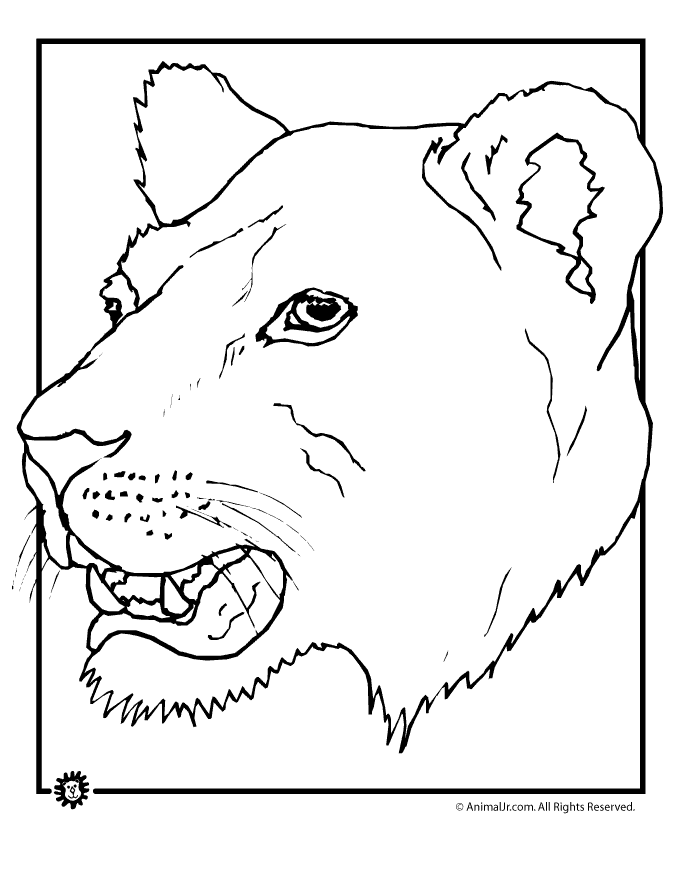 lion-face-coloring-page