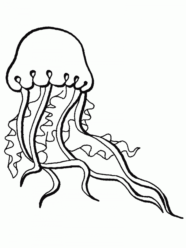 Marine Life Coloring Pages Ocean Life Coloring Pages Ocean 192356