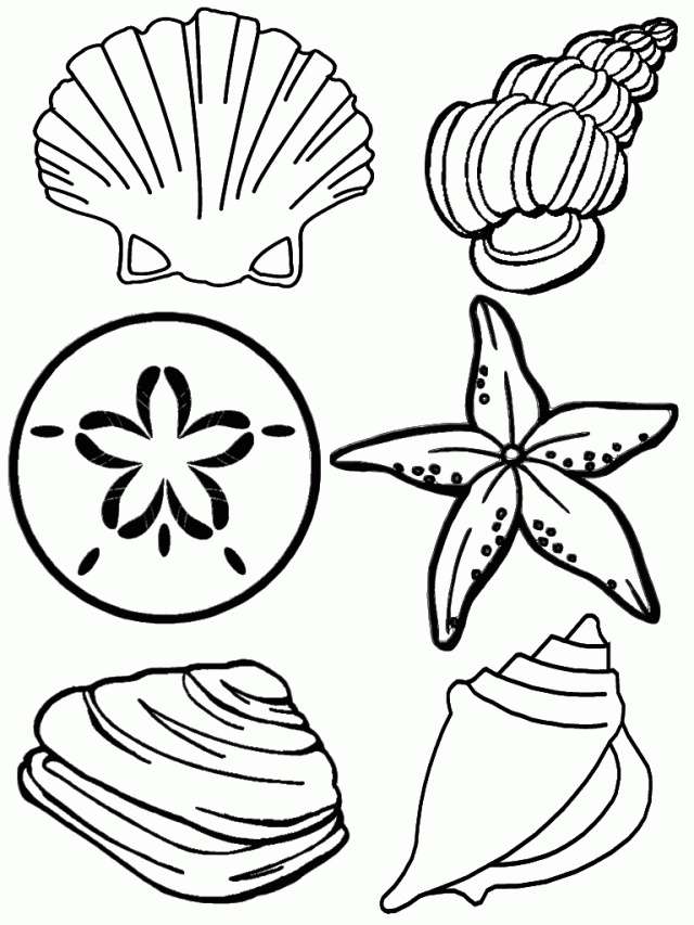 Sea Life Coloring Pages 50534 Label Coloring Pages Of Sea Life