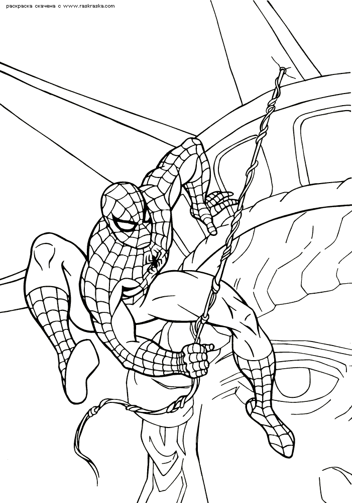 Spider Coloring Pages – 820×1060 Coloring picture animal and car