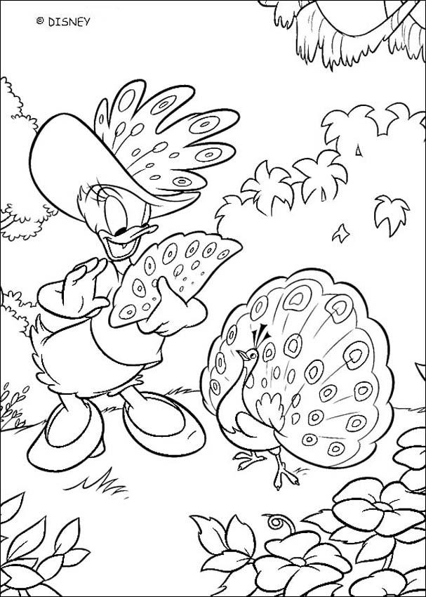 Donald Duck coloring pages - Daisy Duck and the peacock