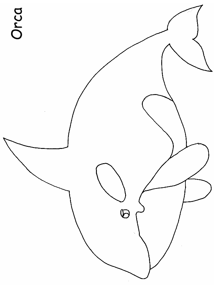 Ocean Orca Animals Coloring Pages & Coloring Book