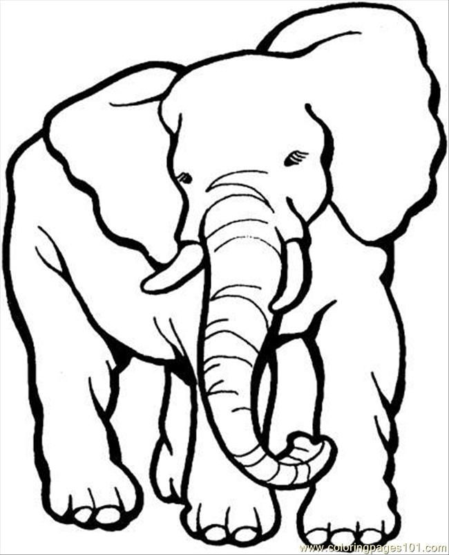 Printable Elephant Coloring Pages | Animal Coloring pages