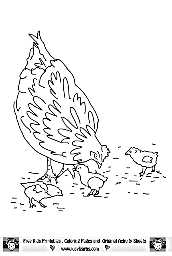 Hen Coloring Page,Lucy Learns Chicken Coloring Page Collection to