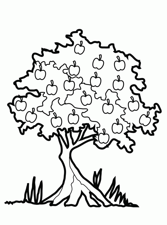 Printable Apple Tree Coloring Pages - Tree Coloring Pages : Free