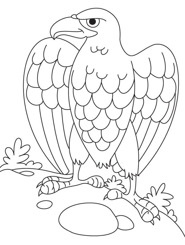bald-eagle-coloring-pages-254