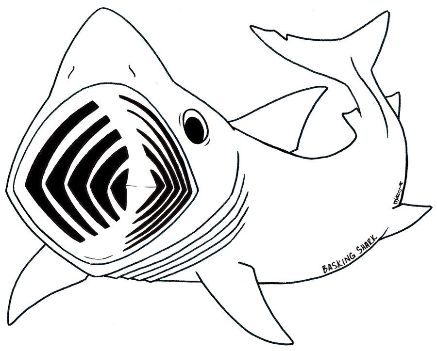 Animal Coloring Whale Shark Printable Coloring Pages For Kids