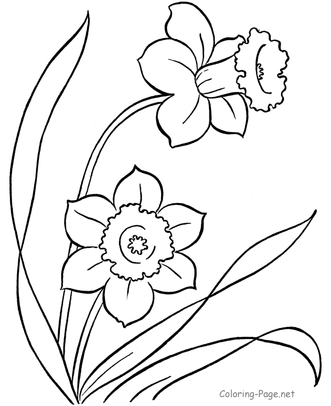 Spring flowers coloring page free printable for a girls