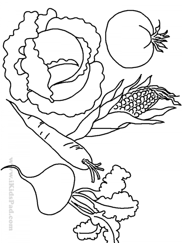 Free Printable Fruits And Food Coloring Book For Kids Garden And