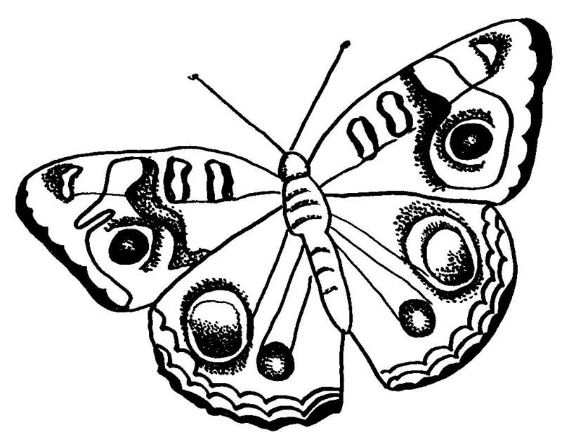 big-dotted-pattern-butterfly-coloring-pages - Free & Printable