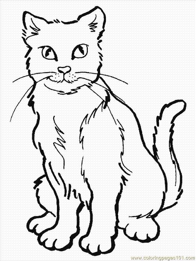 pages cat mammals cats printable coloring page