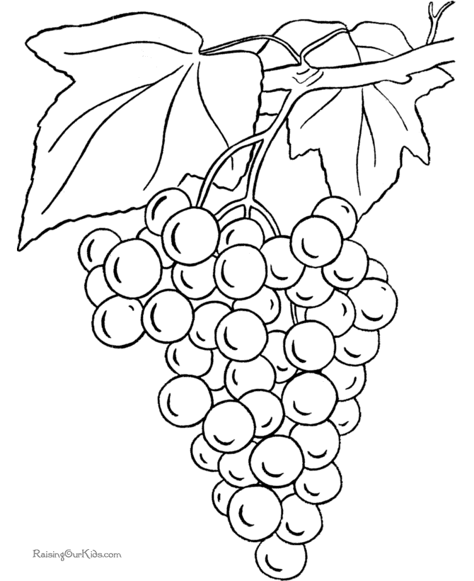 Grapes coloring page to print and color | printables