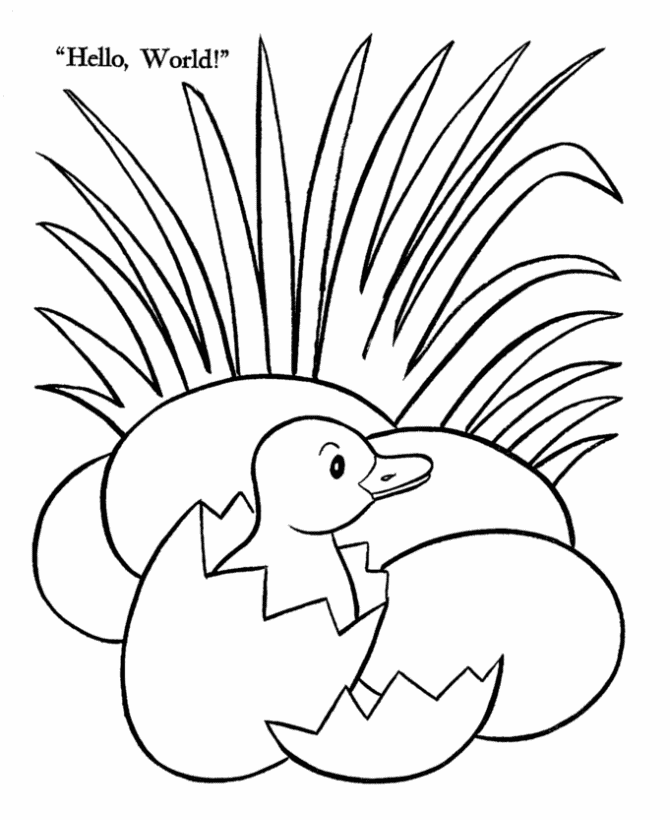 Printable Duck Coloring Pages For Kids | Coloring Pages