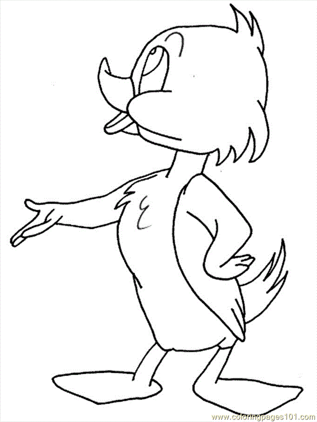 Coloring Pages Coloring Pages Duck3 (Birds > Ducks) - free