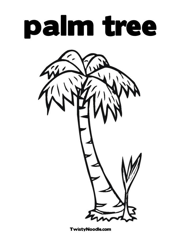 PALM TREES AND CARS Colouring Pages