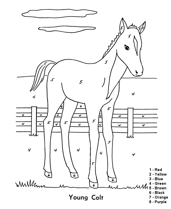 Color by Number Coloring Page | Follow the color numbers to color