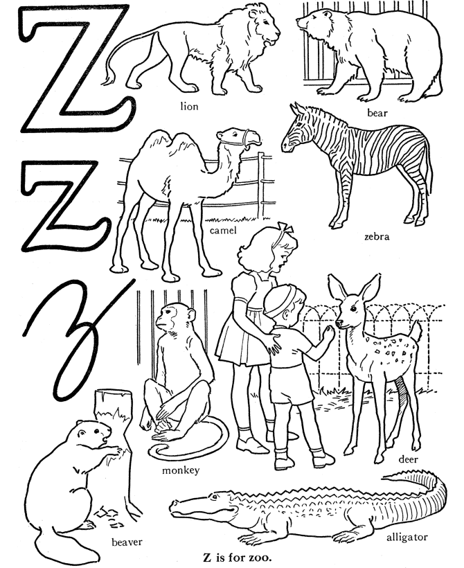 Alphabet Letters and Words Coloring Pages – Letter Z – Zipra