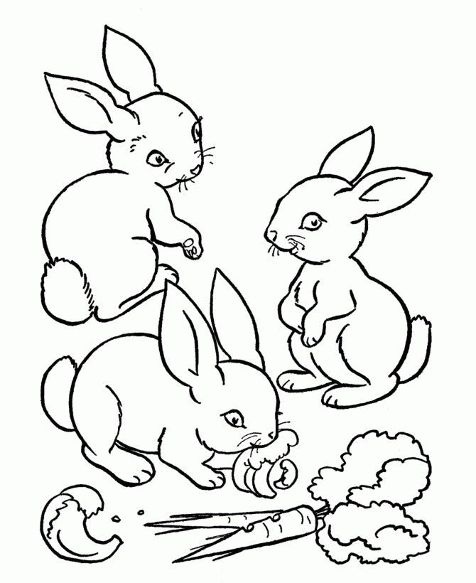 Coloring Pages Bunny Rabbits | Printable Coloring Pages