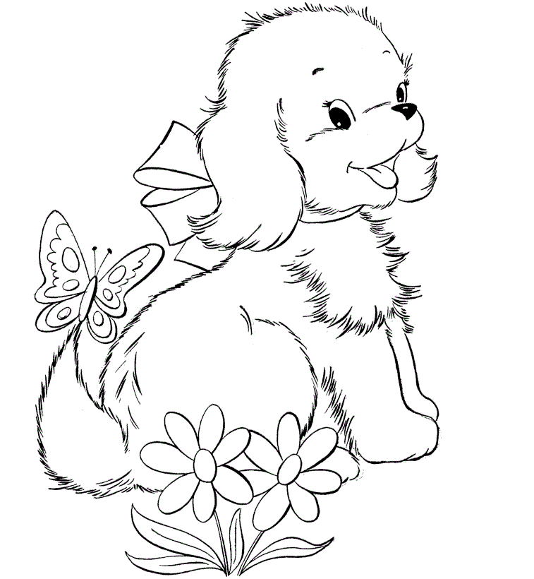 colours drawing wallpaper: Beautiful cute puppies Colour Drawing