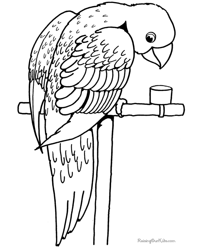Cute Bird Coloring Pages - Free Printable Pictures Coloring Pages