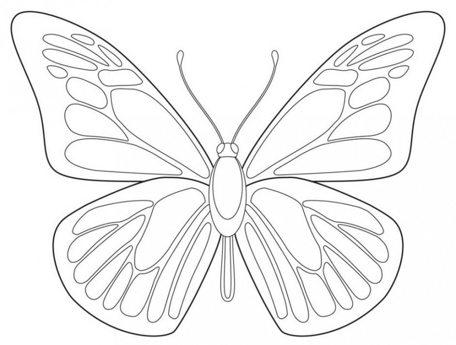 Symmetry Coloring Page Scorpion Id 39936 Uncategorized Yoand