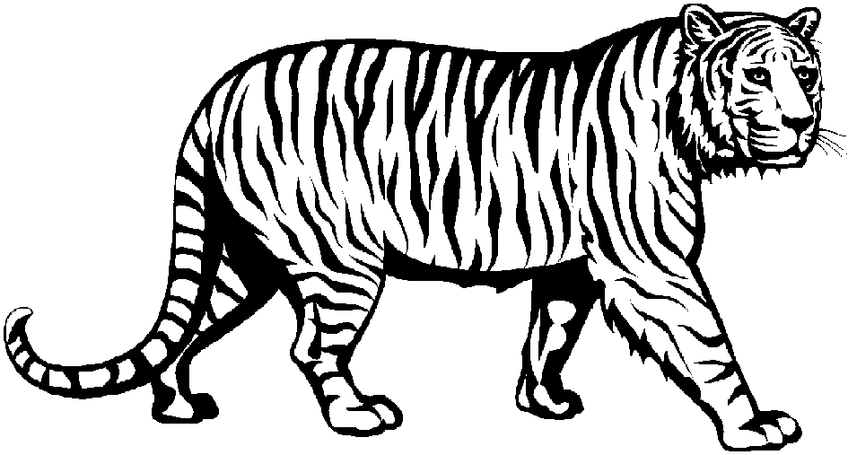 Tiger Black And White Clipart - Clipart Kid
