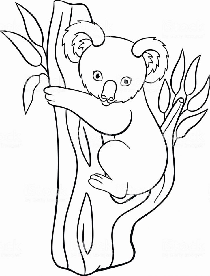 100Day : 99 Koala Coloring Pages Image Inspirations. 98 Amazing ...