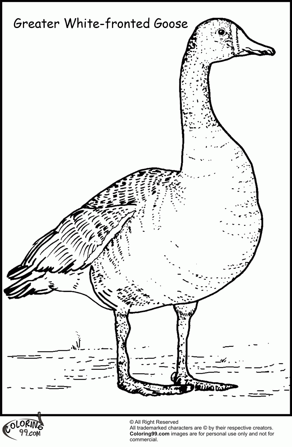 Goose Coloring Pages | Team colors
