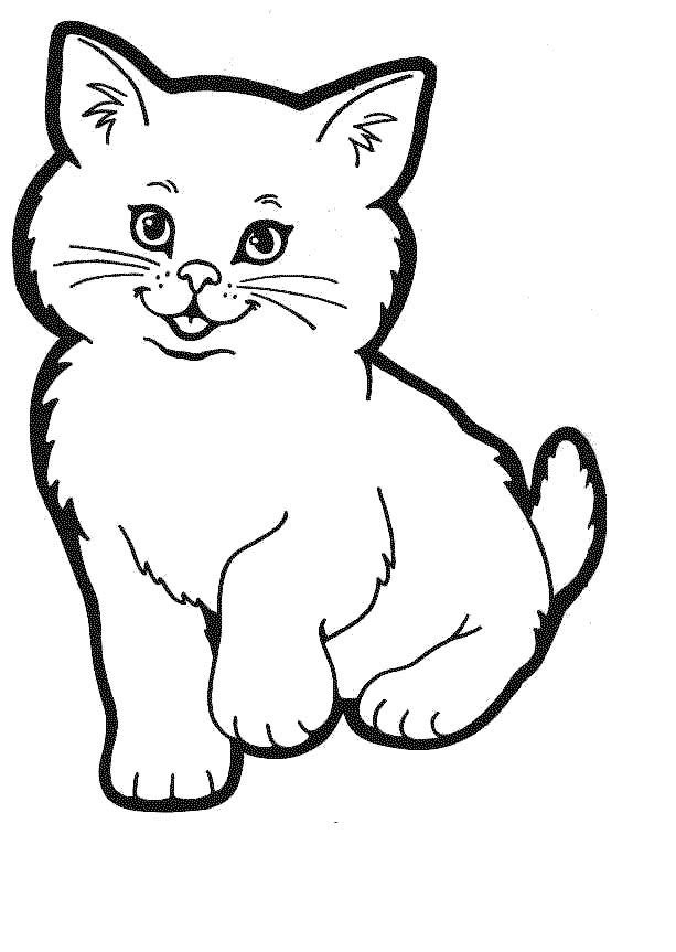 Kitty World: Kitten Pictures To Color