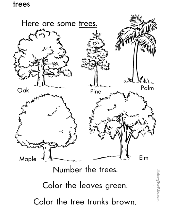 Trees coloring sheet to print and color 013