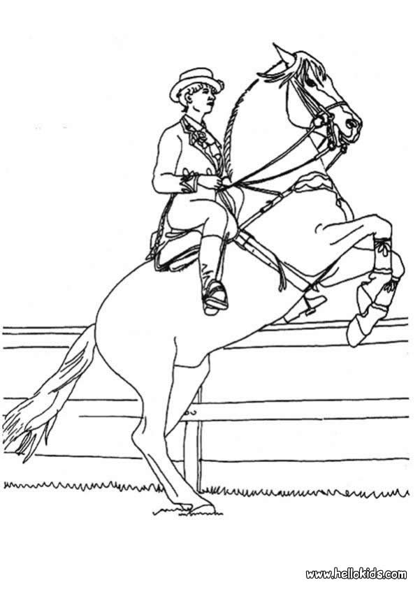 HORSE coloring pages - Horse rider