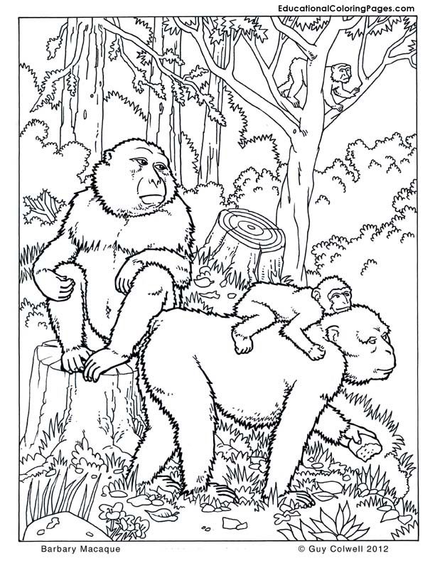 Colouring Pages Nature | Free Coloring Pages on Masivy World