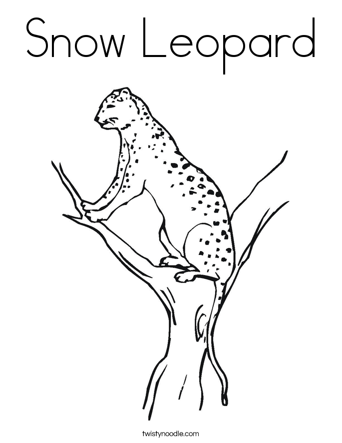 Snow Leopard Coloring Page - Twisty Noodle