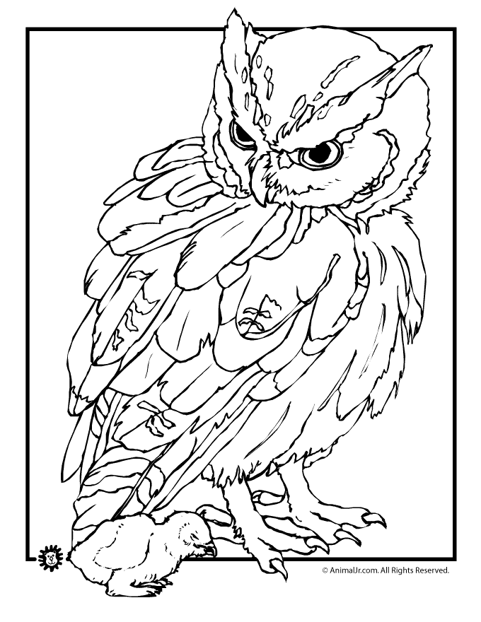 Realistic Owl and Baby Coloring Page - Woo! Jr. Kids Activities