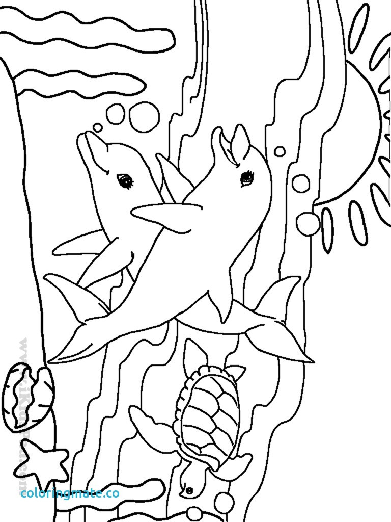 Ocean Animals Coloring Pages Underwater Animals Coloring Pages At ...
