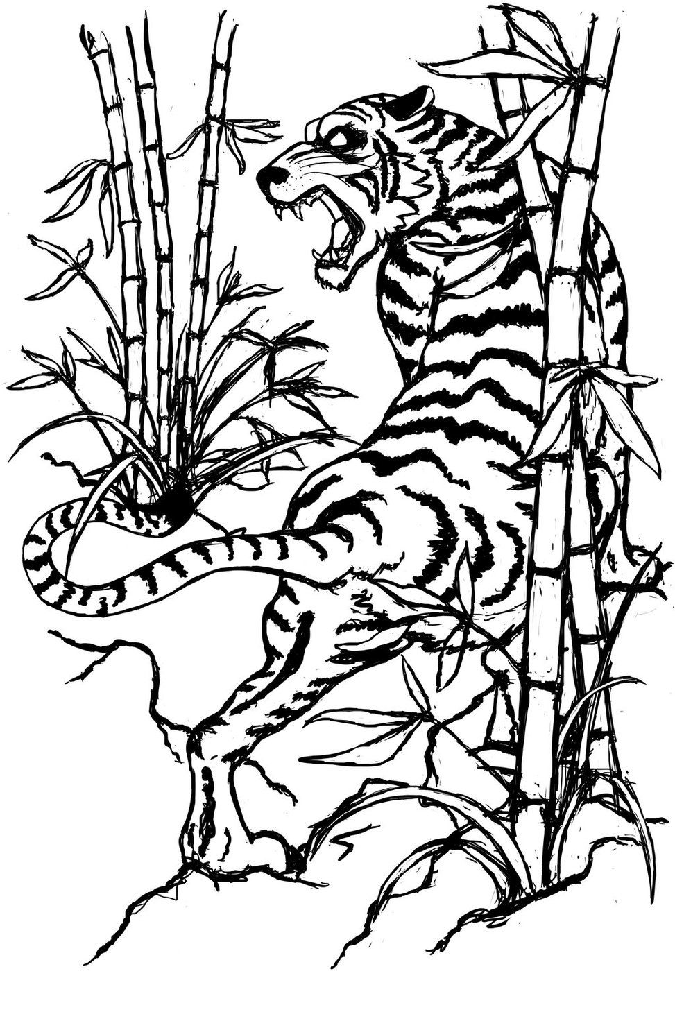 Tiger Outline Drawing Clipart - Free to use Clip Art Resource