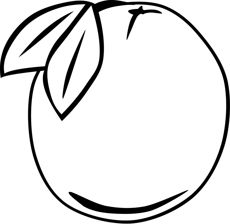 Orange Fruit Coloring Sheets - High Quality Coloring Pages
