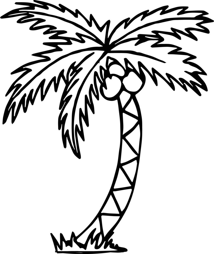 Palm Tree Coloring Pages For Toddlers Leaf Pageut Leaves Stencil Free  Printable – Slavyanka