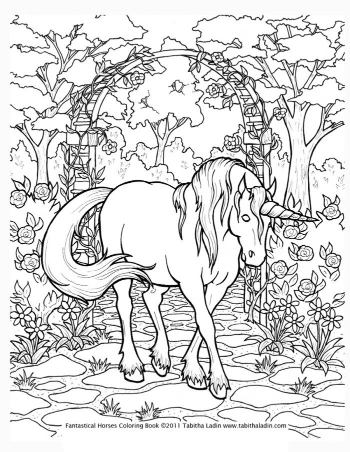 Coloring Pages Hard Animals - High Quality Coloring Pages