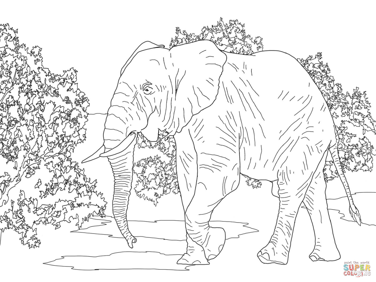 Elephants coloring pages | Free Coloring Pages