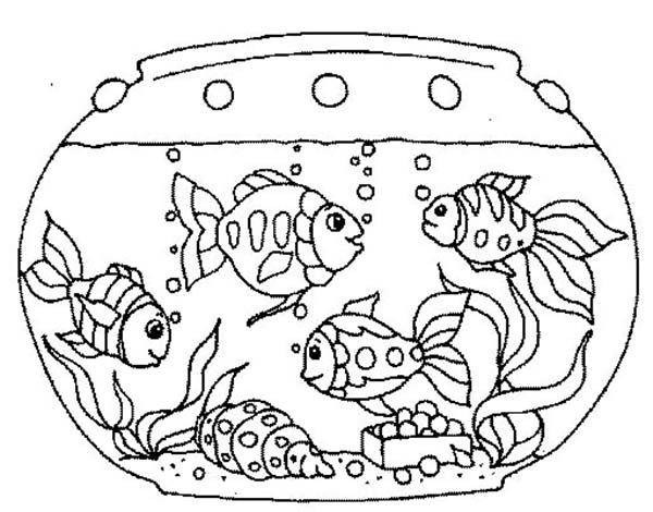 Goldfish in the Fish Tank Coloring Page - NetArt