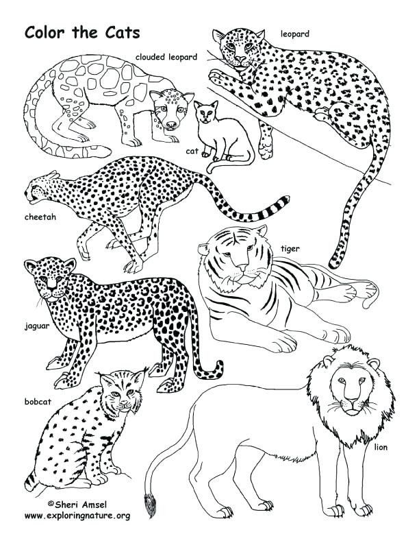 Pin on Examples Customize Coloring Pages